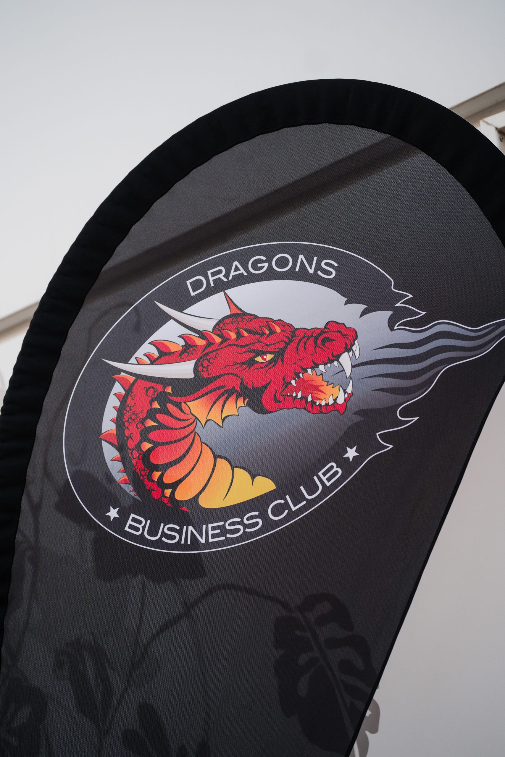 drapeau_dragons
